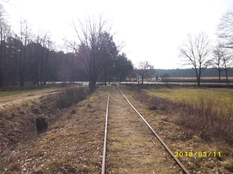 ZWNEGI17